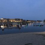 IMG_1239